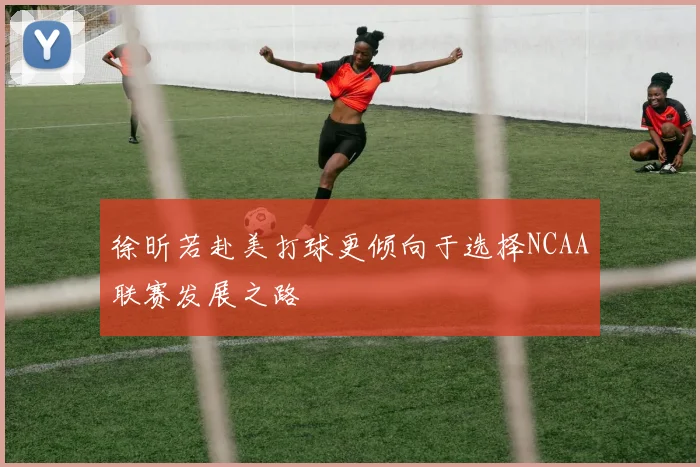 徐昕若赴美打球更倾向于选择NCAA联赛发展之路